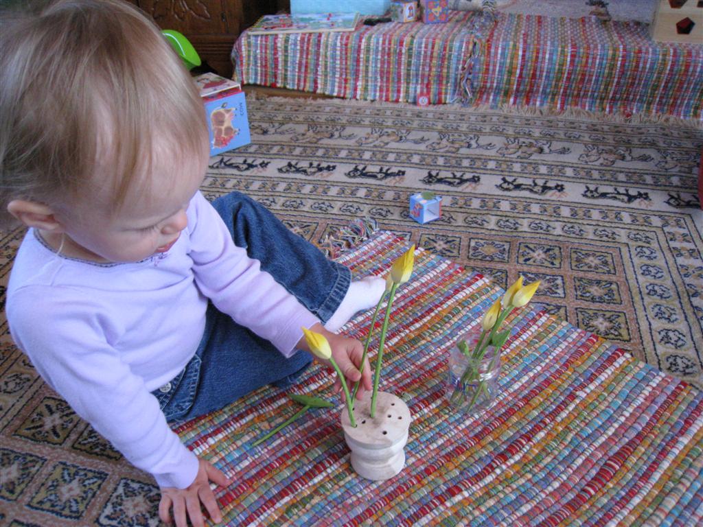 [Picture+043+(Large).jpg]