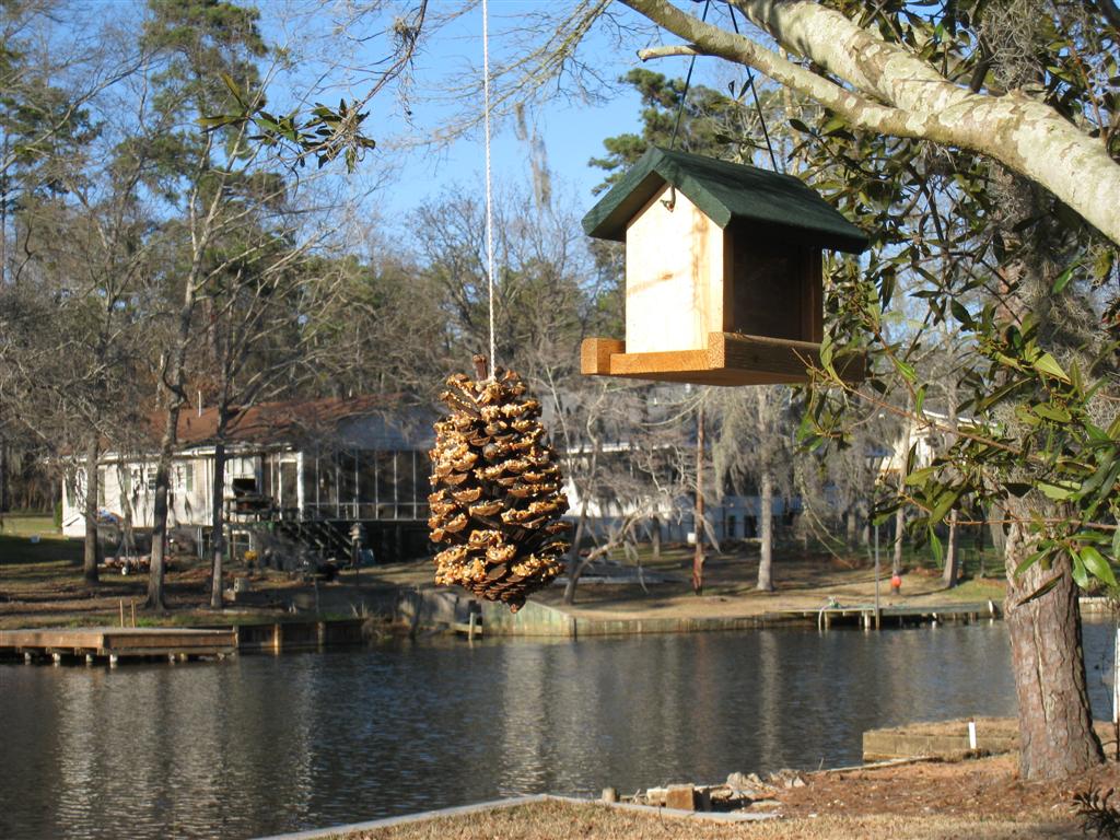 [IMG_4494+(Large).JPG]