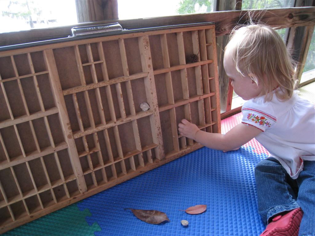 [IMG_6078+(Large).JPG]