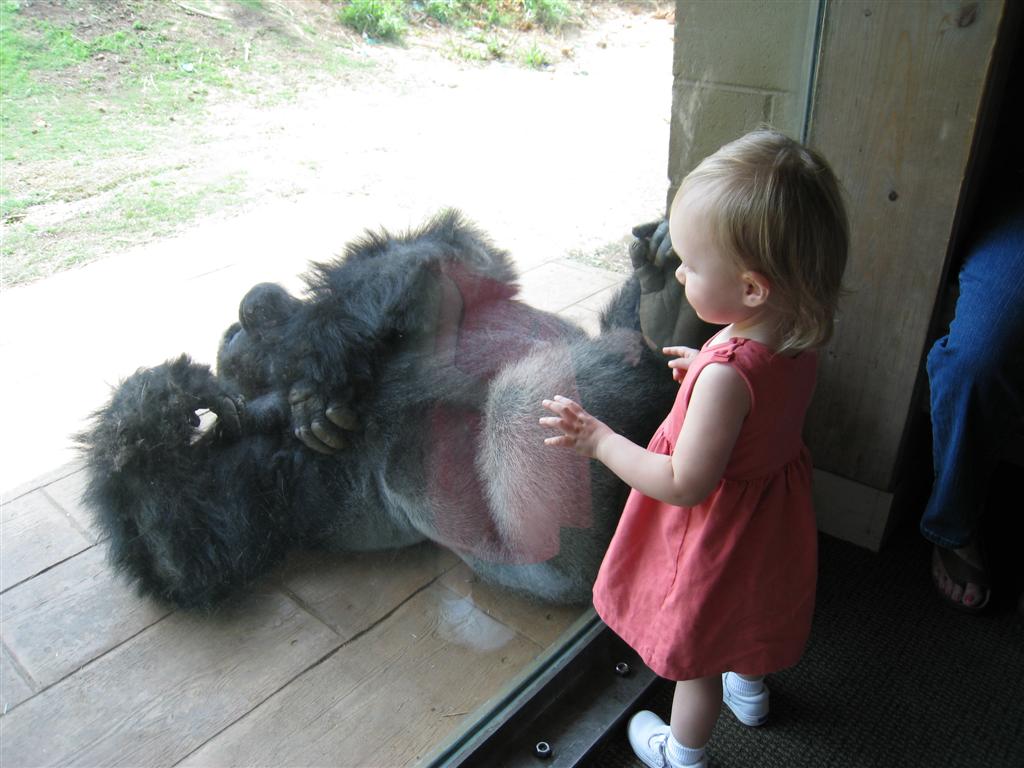 [IMG_5951+(Large).JPG]