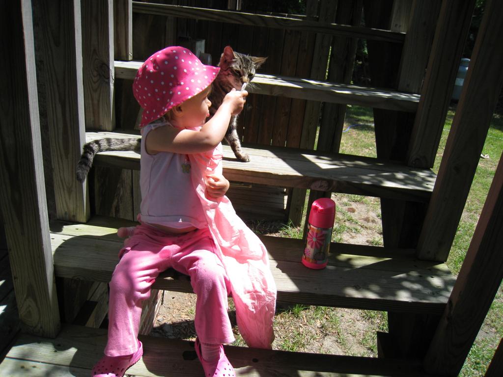 [IMG_6508+(Large).JPG]