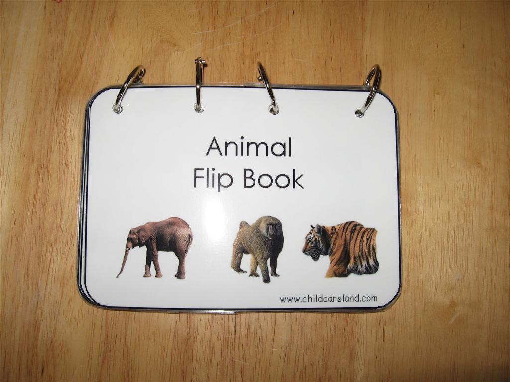 [IMG_0413+(Large).JPG]