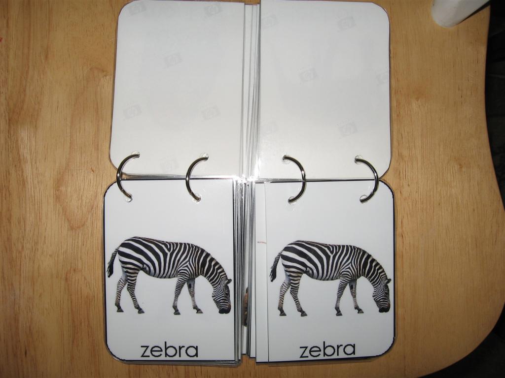 [IMG_0414+(Large).JPG]