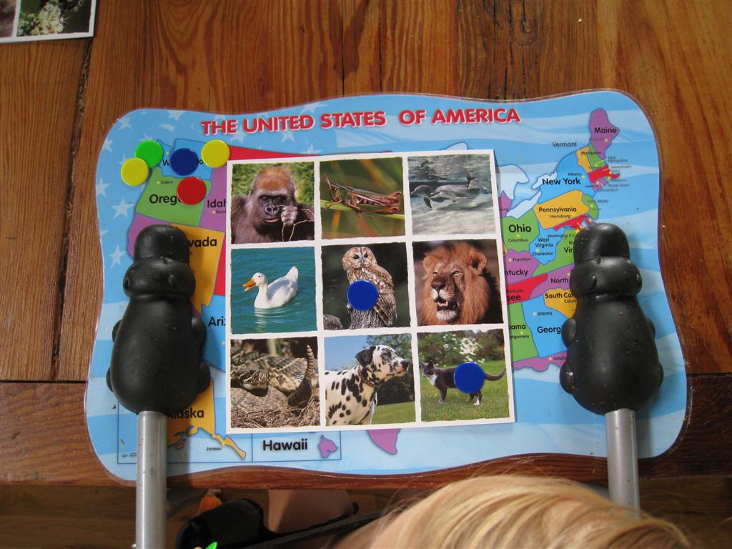 [IMG_9782+(Large).JPG]