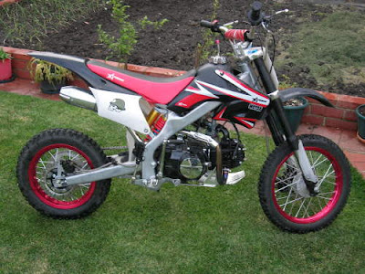 thumpstar 110cc