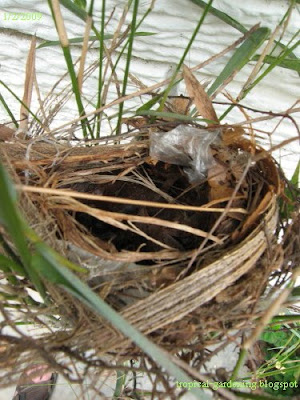 bird's nest in bamboo with plastic