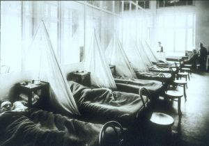 [FranceFluHospital.jpg]