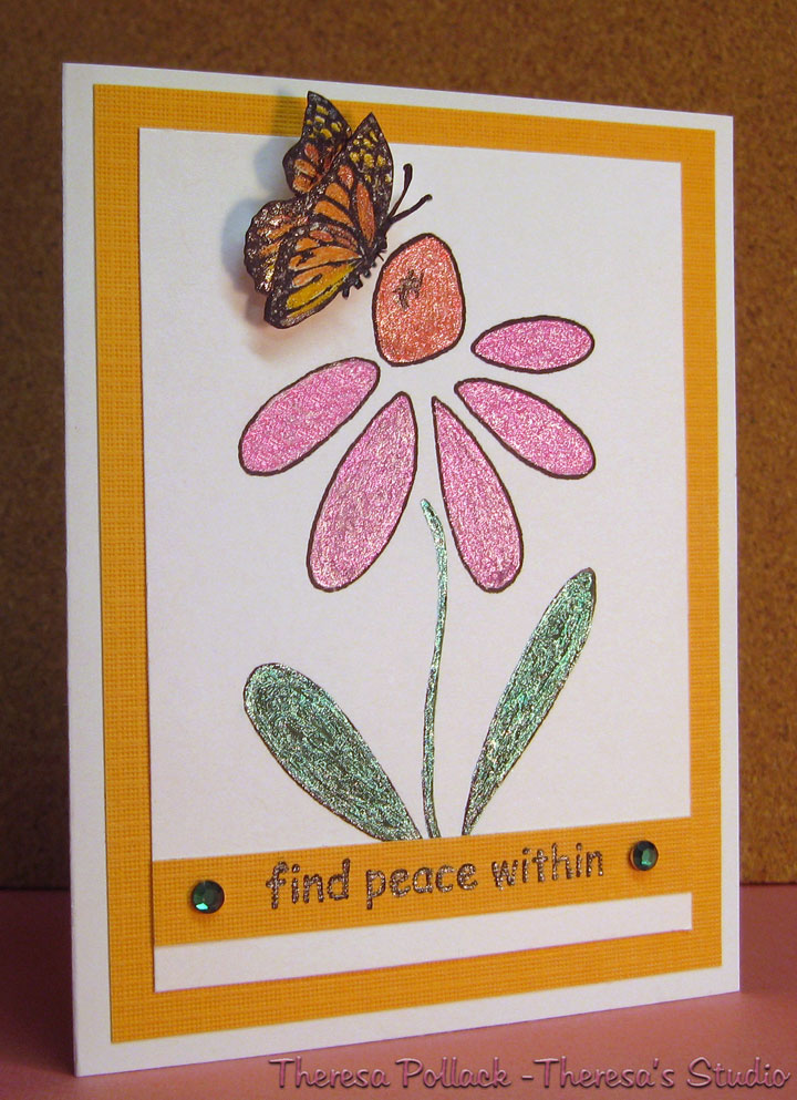 [Coneflower-STVTC27.jpg]