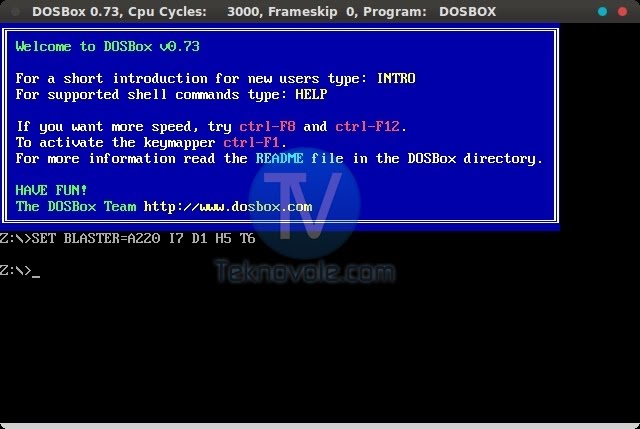 [dosbox1.jpeg]