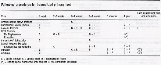 [primary+tooth+trauma+2Bedit.JPG]