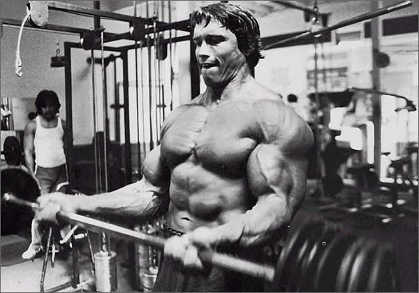 Quanto o Arnold tinha de braço