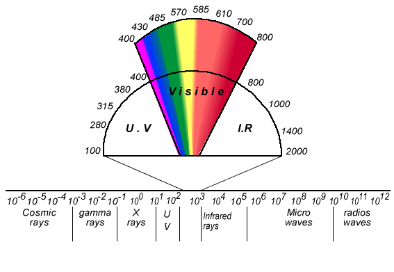 Science Ray Table Jak Science