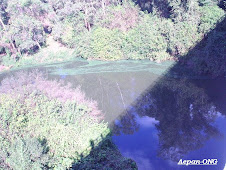 Eutrofização no Arroio Boa Vista - 2009