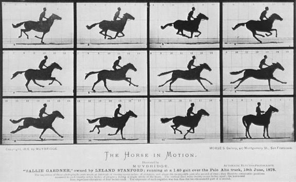 [muybridge_horse.jpg]