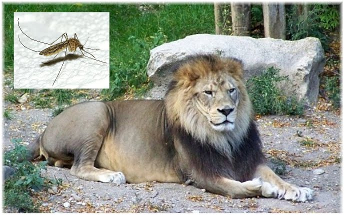 ������ ���� ������ �� ���� ������