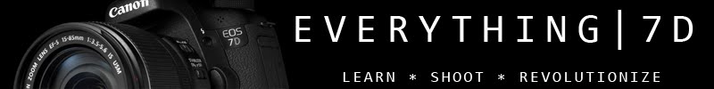 Everything | 7D