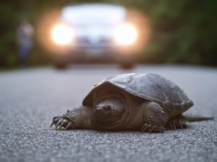 Membership Marketing Blog ASAE 2010 Marketing & Membership Conference