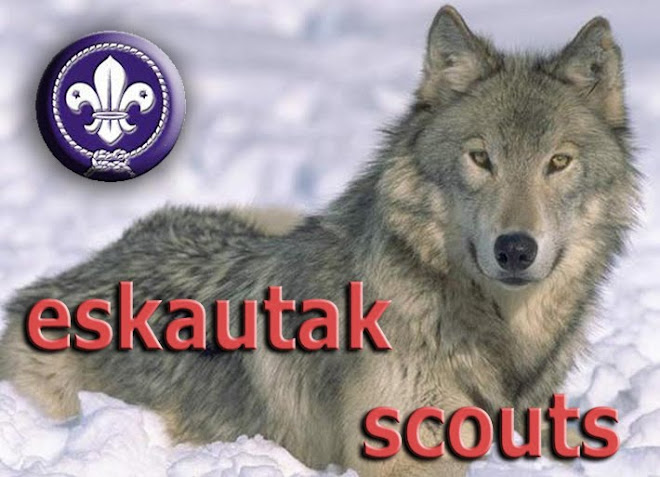 Scouts y Guías de Gipuzkoa; eskautak