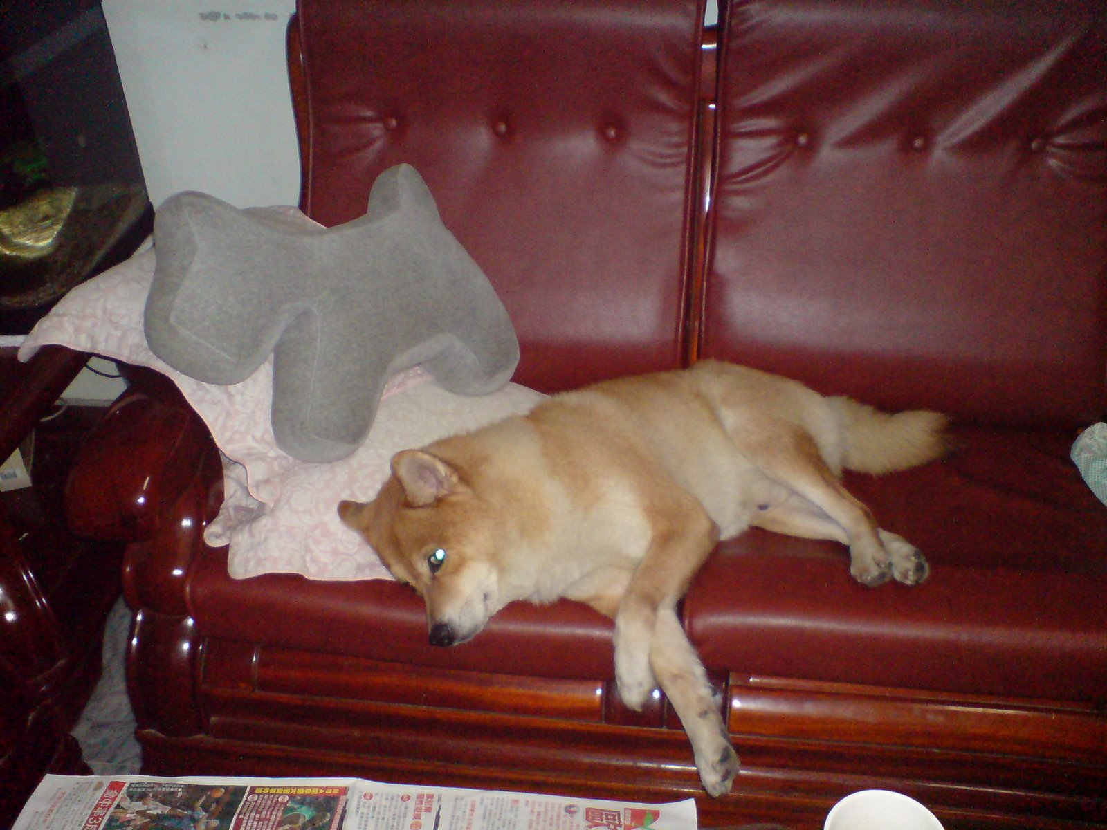 [DSC05977.JPG]