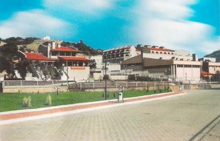 [Aydin_kaplica_kür_Alan_güllü_Termal.jpg]