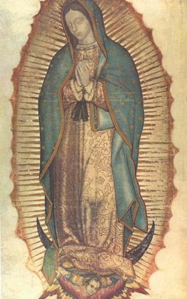 Our Lady of Guadalupe