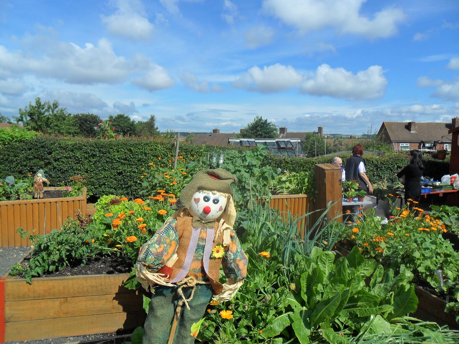 Guy Opperman s Constituency Diary Prudhoe Community Allotment