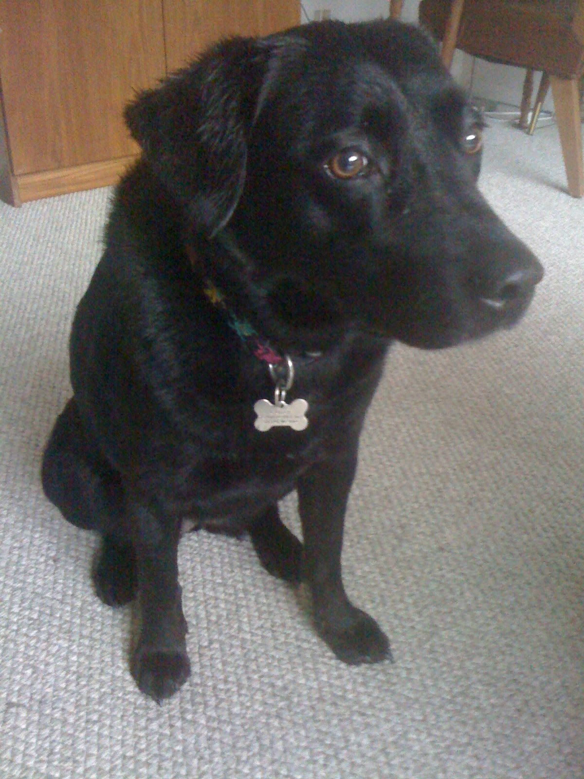 [IMG_2991-710210.JPG]