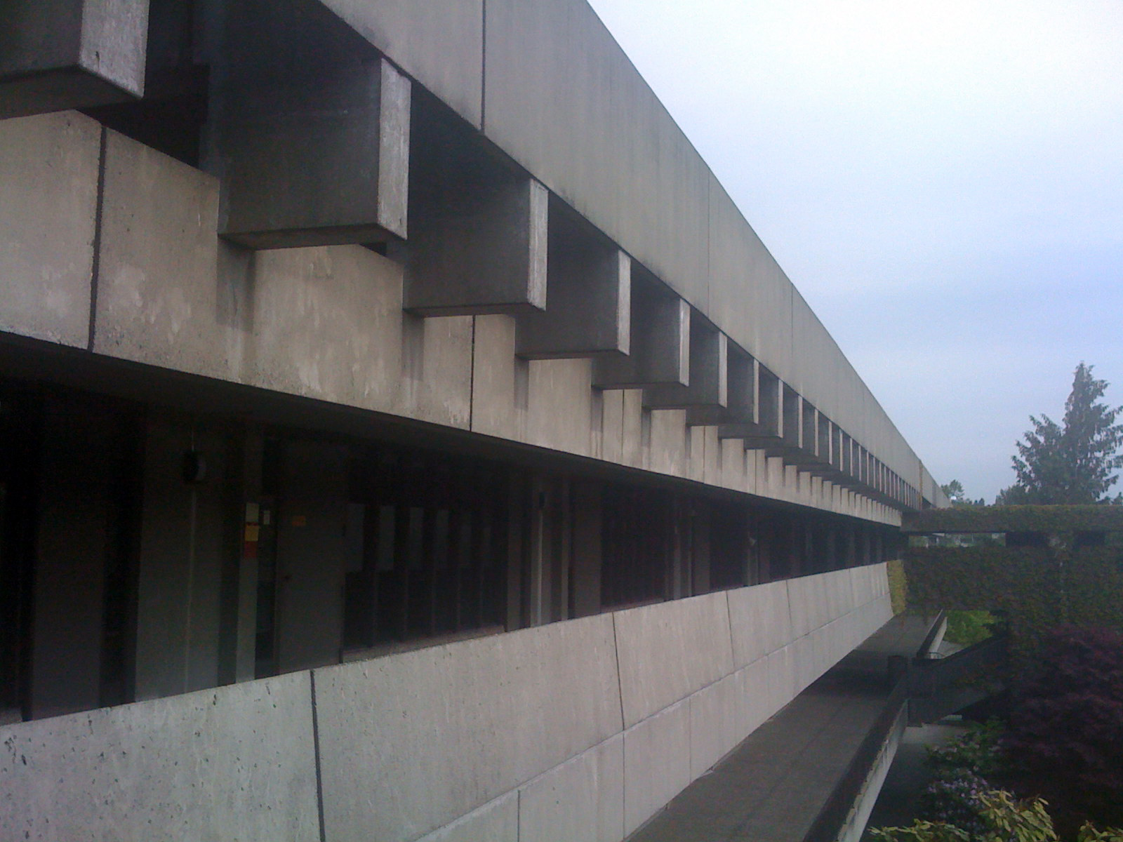 [IMG_0630-736554.JPG]