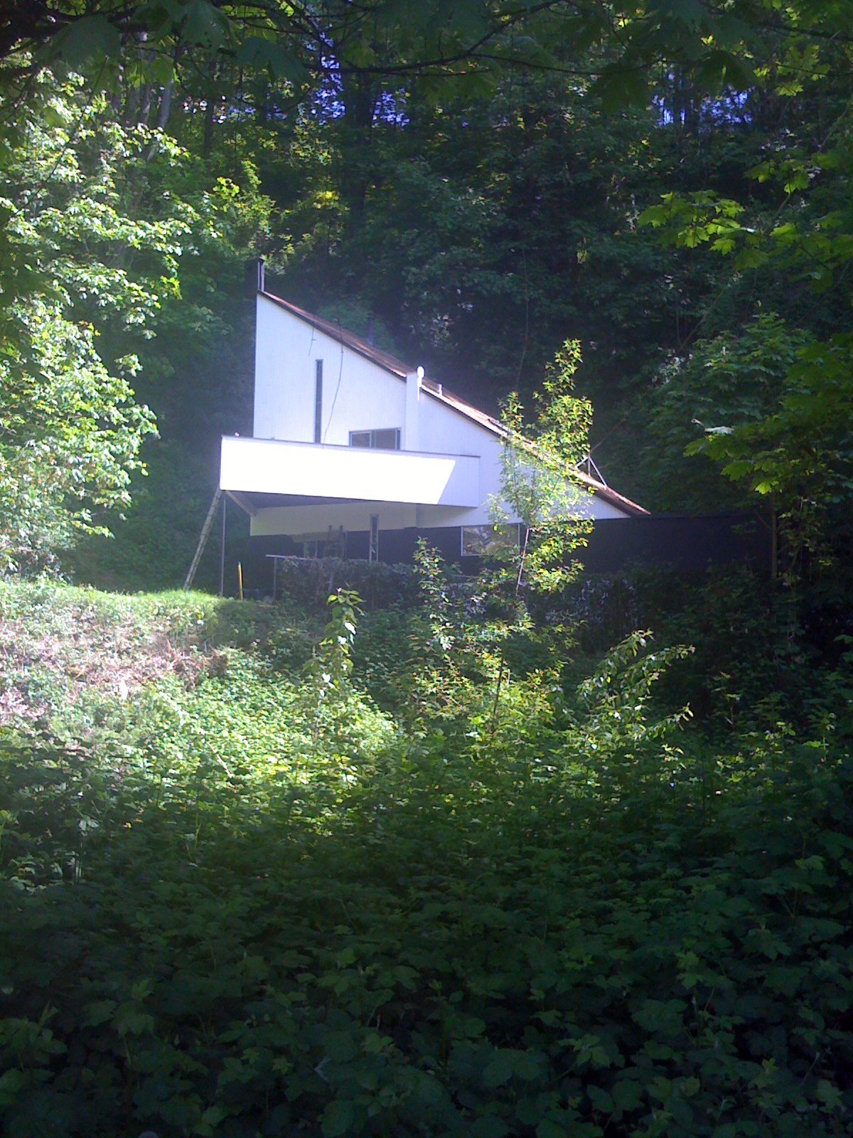 [IMG_0713-735540.JPG]