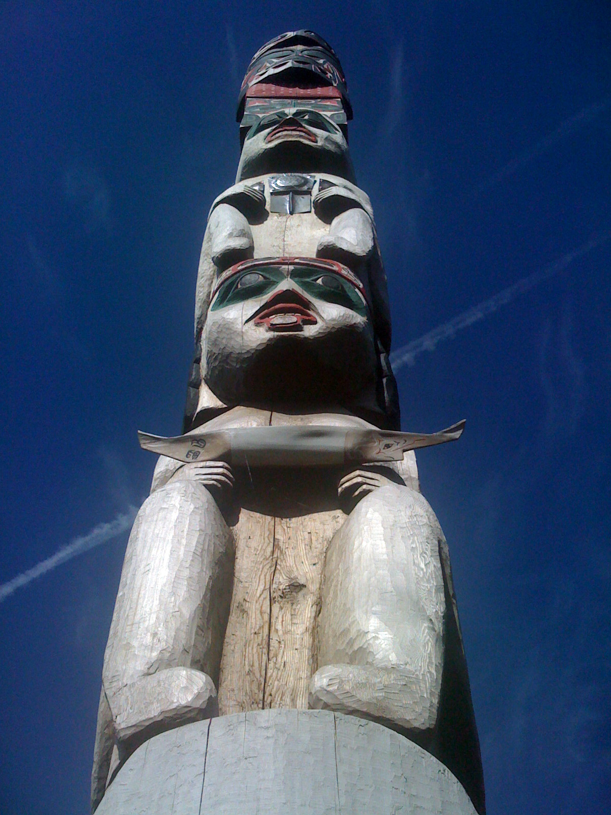 [IMG_0769-762941.JPG]