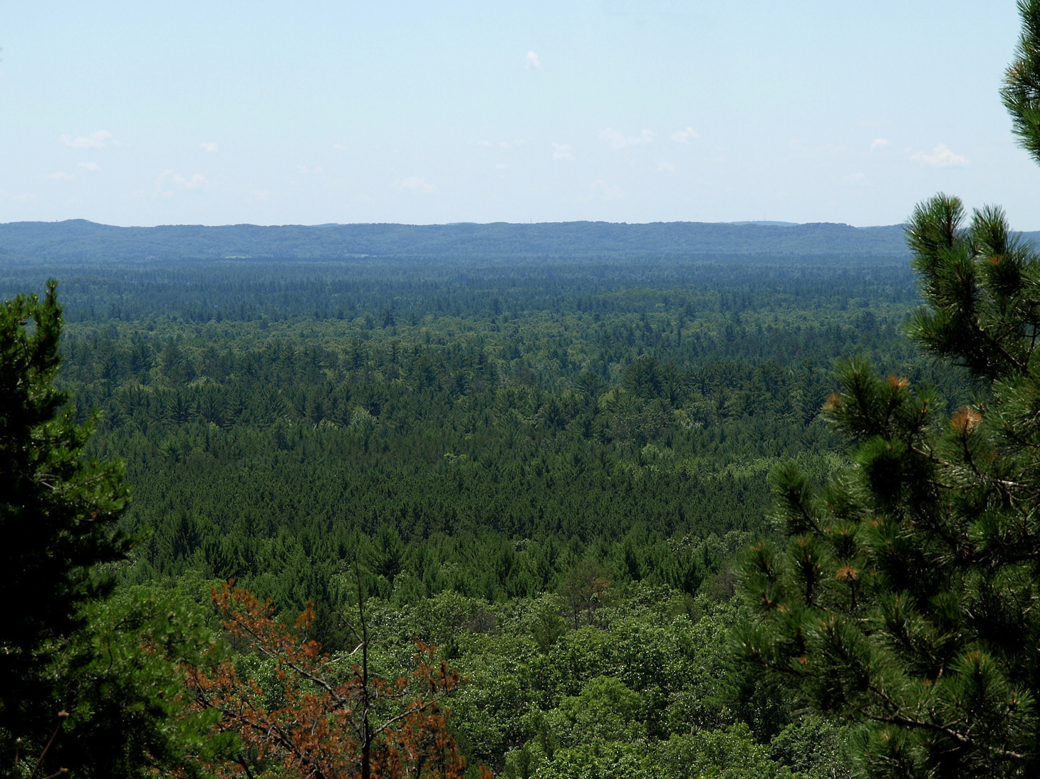 Albert Lee Assorted Crap Black River State Forest