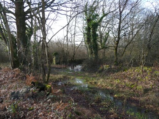 [02+zone+humide.jpg]