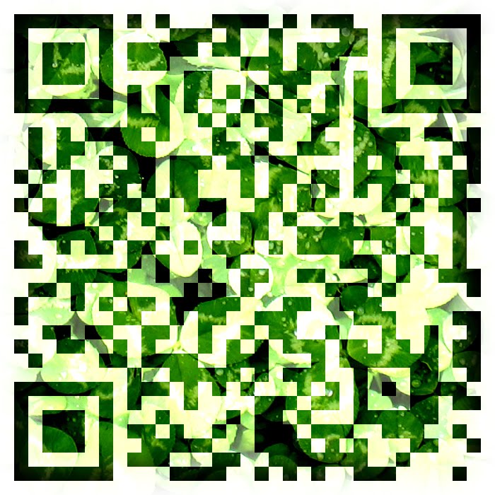 Beautiful Pixels QR Code hacks modifying and altering for artistic fun