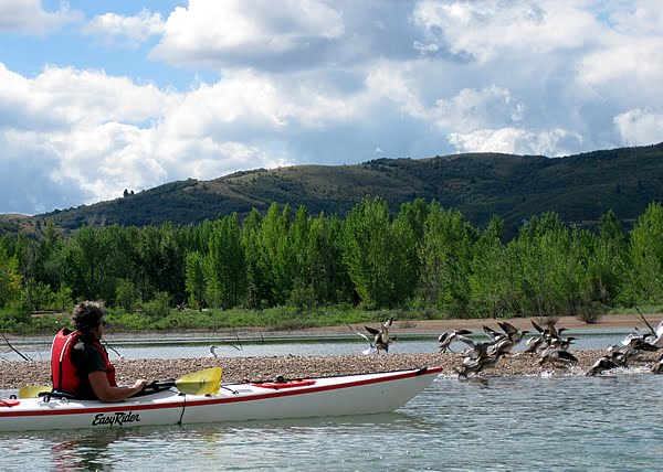 Kayaking on Pineview Reservoir