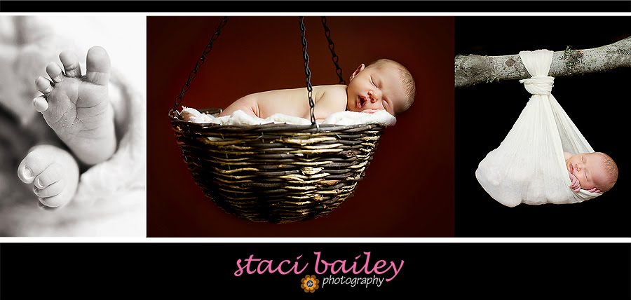 Staci Bailey Photography