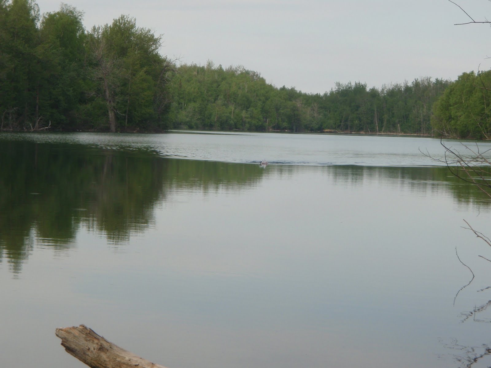 80 lakes in one brief Alaskan summer 5th and 6th Lakes (Kepler and