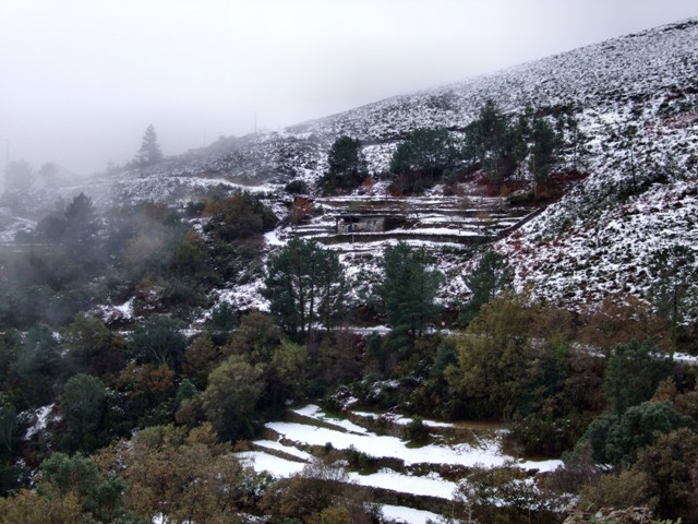 Soajo