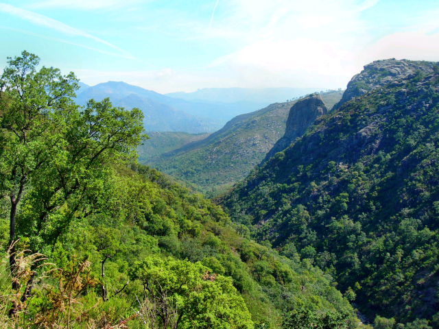 Paisagens de Portugal - Mata de Cabril - A Floresta Original