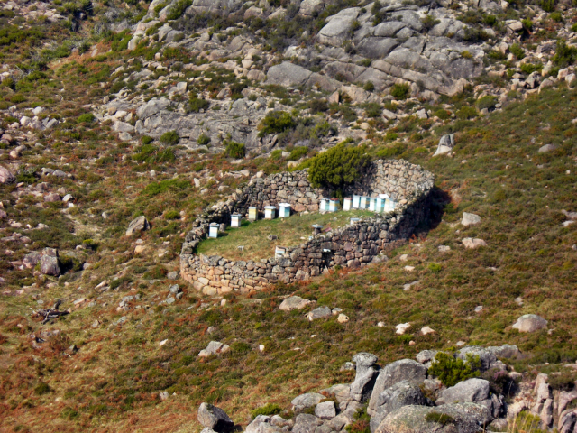 Paisagens de Portugal - Apicultura de Montanha