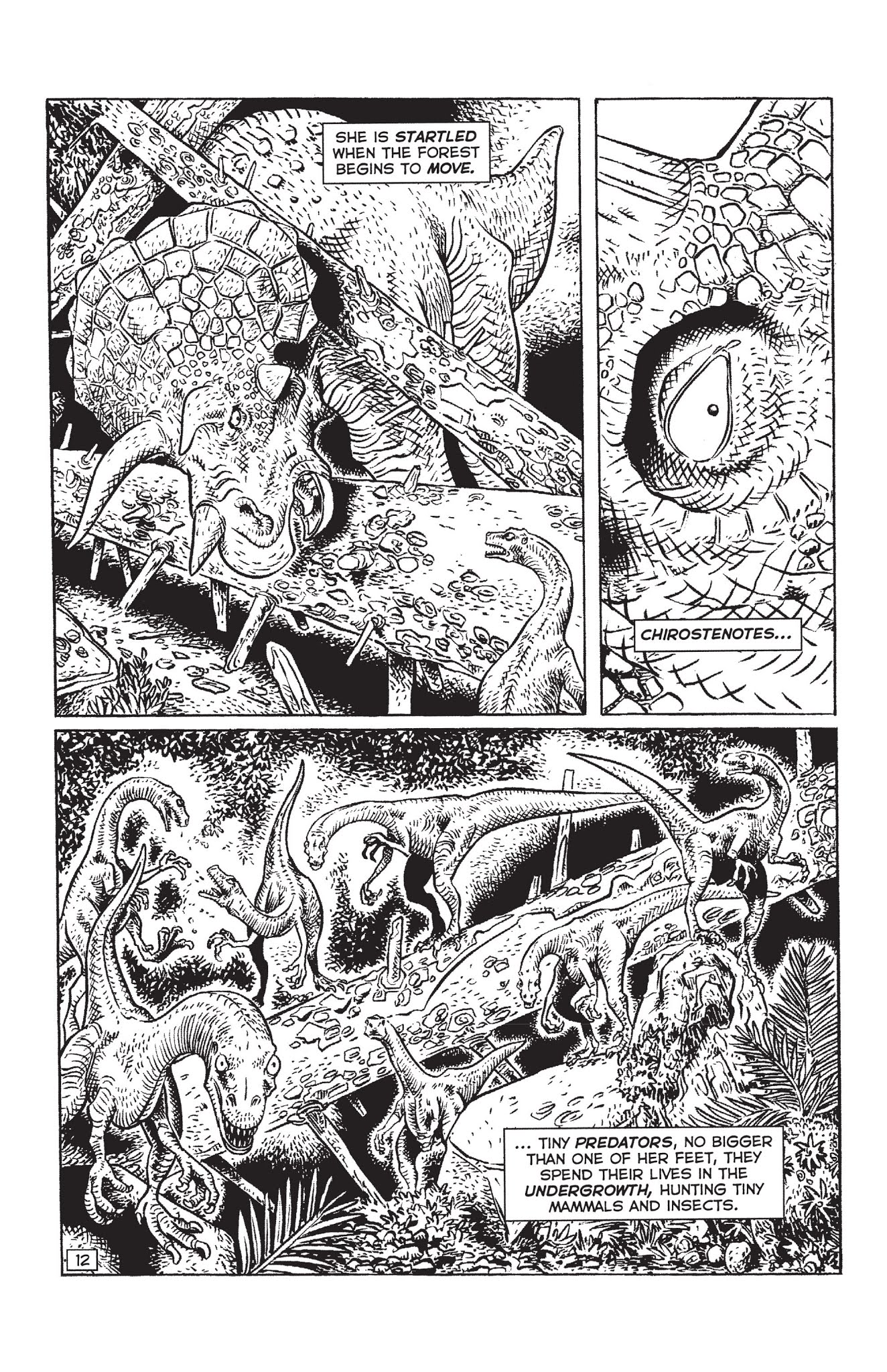 Read online Paleo: Tales of the late Cretaceous comic -  Issue # TPB (Part 1) - 27