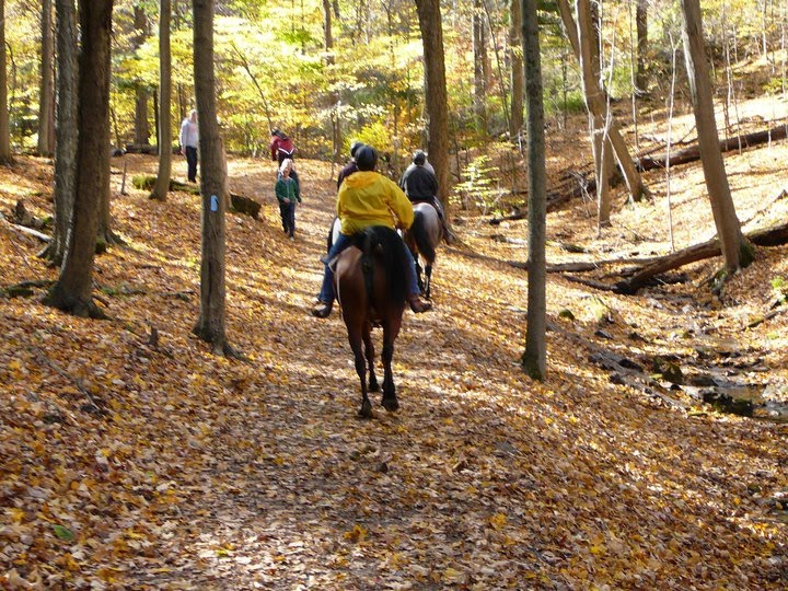 What is 'up' at Hopewell Creek Stables: October 2010