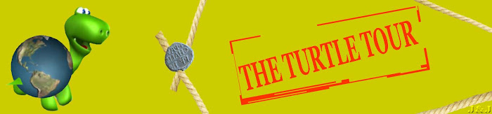 The Turtle Tour