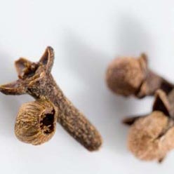 [25122008110135_501_583221kar.jpg]