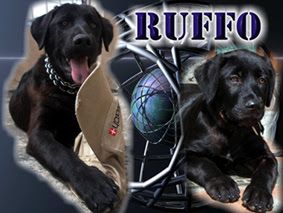 Navarro Arte & Diseño