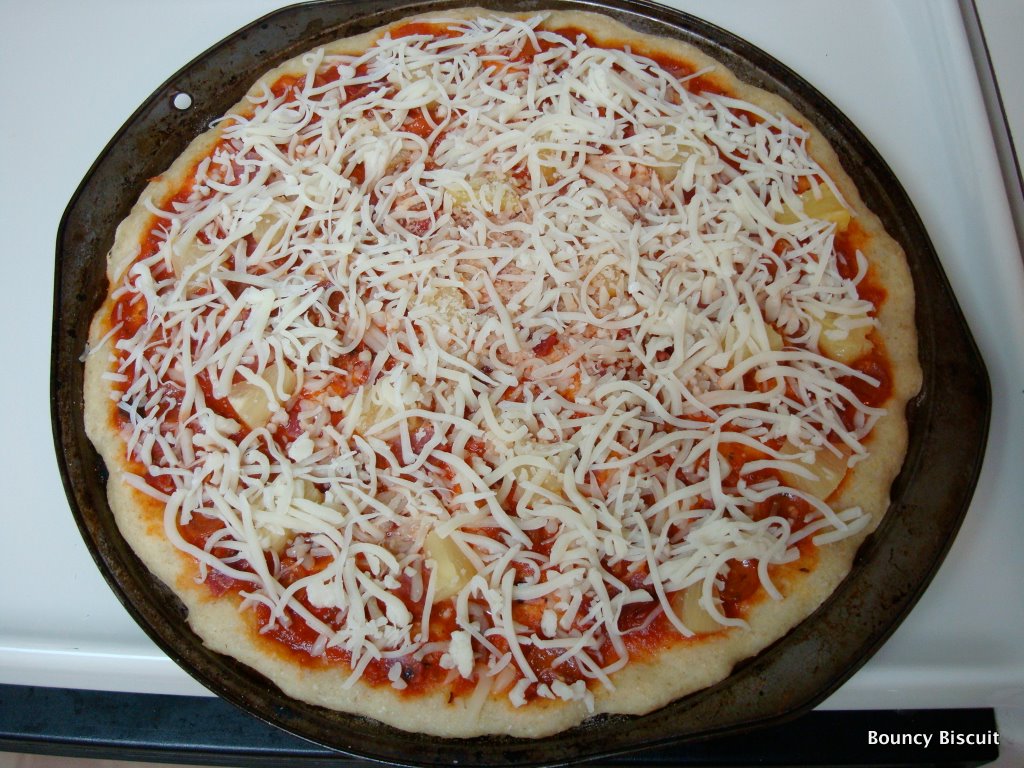 bread Baking Experiment Semolina crust pizza