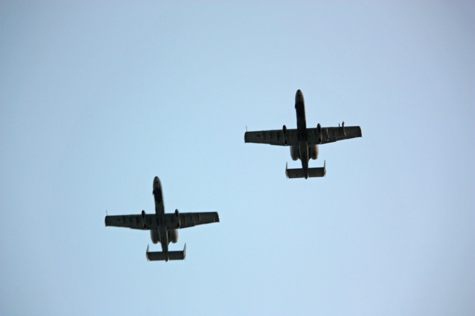 Boise Daily Photo Hot Air Balloon Festival
