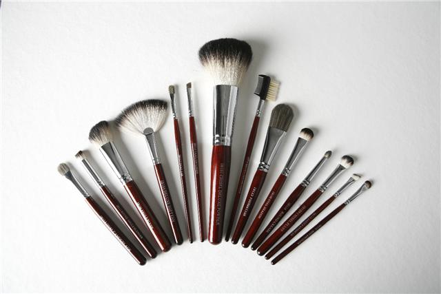 [brush3.jpeg]