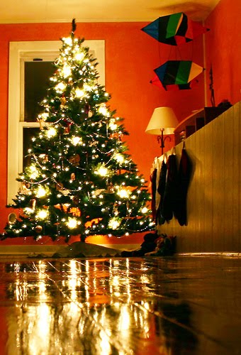 [christmas-tree.jpg]