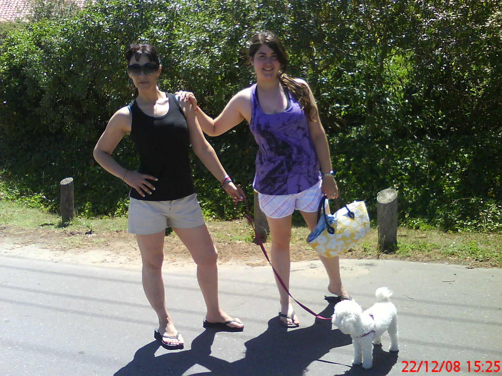 [DSC02499.JPG]