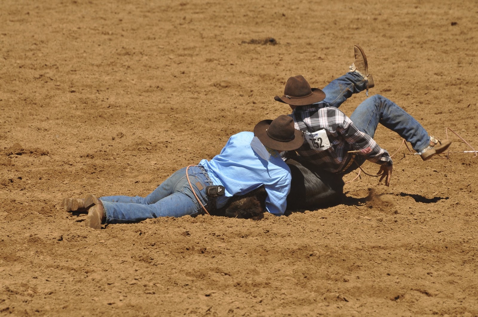 Maui Observer Ride 'Em Cowboy